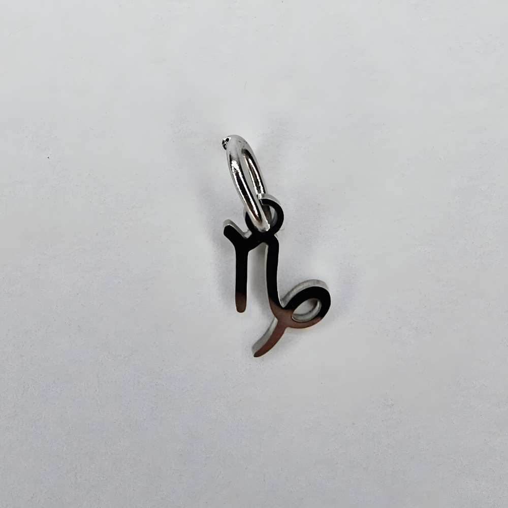 Zodiac Charm Steinbock