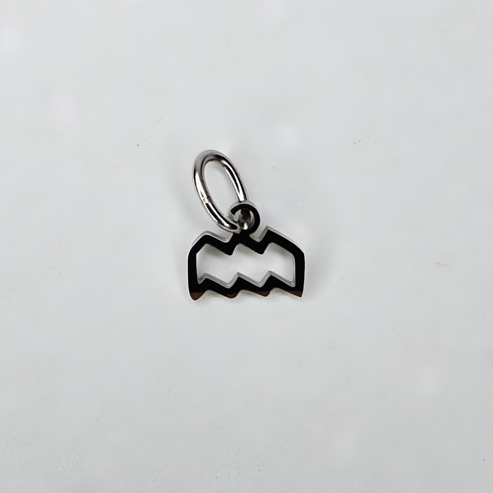 Zodiac Charm Wassermann