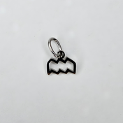Zodiac Charm Wassermann